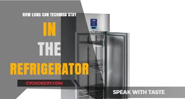 Technica Refrigerator Storage: How Long Can It Safely Stay Chilled?