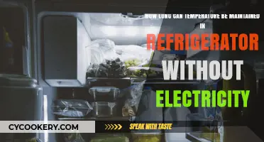 How Long Does a Fridge Keep Food Cold Without Power?