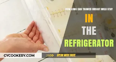 Thawed Breast Milk Storage: How Long is it Safe in the Fridge?