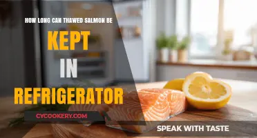 Thawed Salmon Storage: How Long is it Safe in the Fridge?