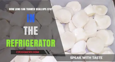 Thawed Scallops: Safe Refrigeration Time and Storage Tips