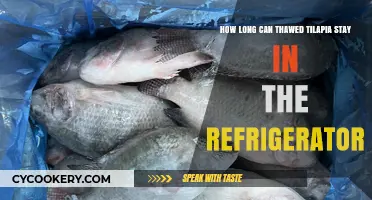 Thawed Tilapia Shelf Life: Refrigerator Storage Time Explained