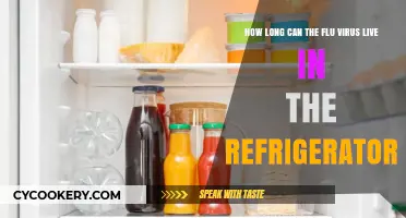 Flu Virus Survival: How Long Does It Last in Your Fridge?
