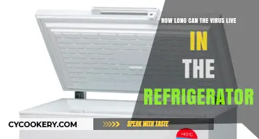 How Long Can Viruses Survive in Your Refrigerator?