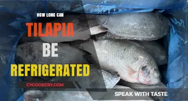 Tilapia Refrigeration Guide: How Long Can It Stay Fresh?