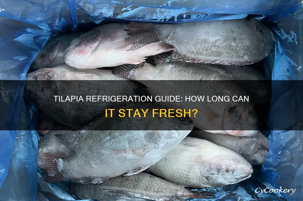 how long can tilapia be refrigerated