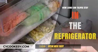 Tilapia Storage Guide: How Long Can It Stay Fresh in the Fridge?
