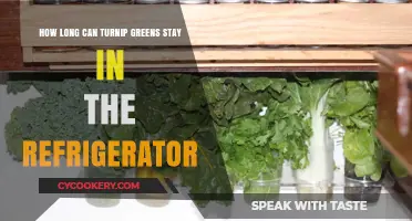 Storing Turnip Greens: Optimal Refrigerator Shelf Life Explained