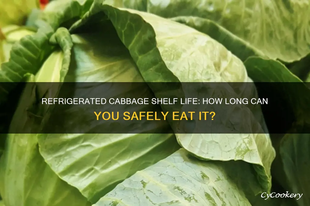 how long can u eat cabbage in the refrigerator