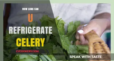 Refrigerating Celery: Optimal Storage Time and Freshness Tips