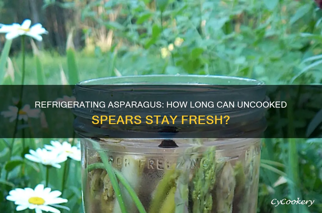 how long can uncooked asparagus stay in the refrigerator