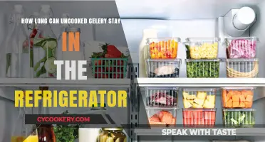 Refrigerated Celery Shelf Life: How Long Does Uncooked Celery Last?