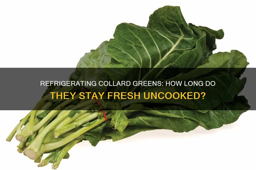 how long can uncooked collard greens stay in the refrigerator