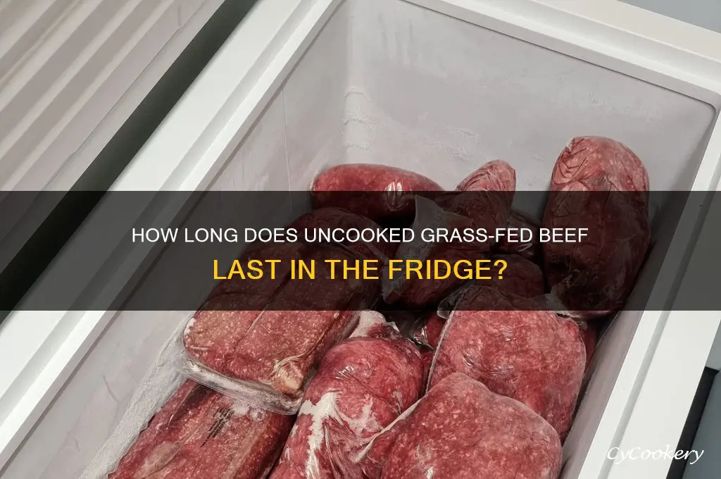 how long can uncooked grass fed refrigerator