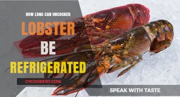 Refrigerating Uncooked Lobster: Safe Storage Time and Tips