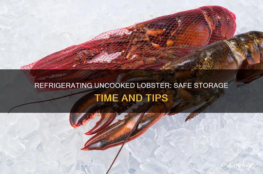 how long can uncooked lobster be refrigerated