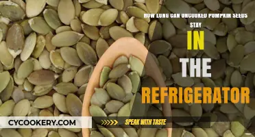 Refrigerated Pumpkin Seeds: How Long Do They Stay Fresh?