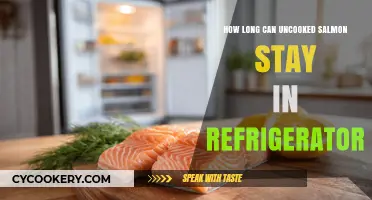 Uncooked Salmon Storage: How Long Can It Stay Fresh in the Fridge?
