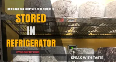 Unopened Blue Cheese Storage: How Long Does It Last in the Fridge?