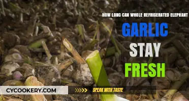 Maximizing Freshness: How Long Does Refrigerated Elephant Garlic Last?