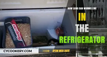 Worms in the Fridge: Survival Duration and Storage Insights
