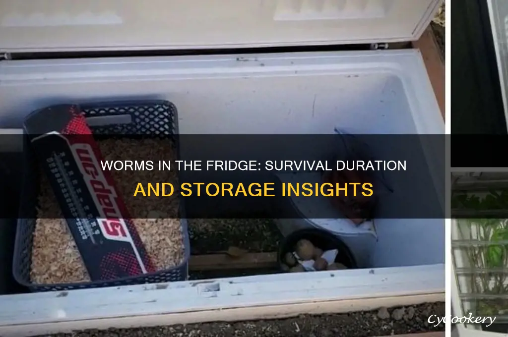 how long can worms live in the refrigerator