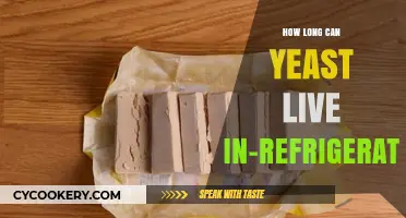 How Long Does Refrigerated Yeast Stay Active and Usable?