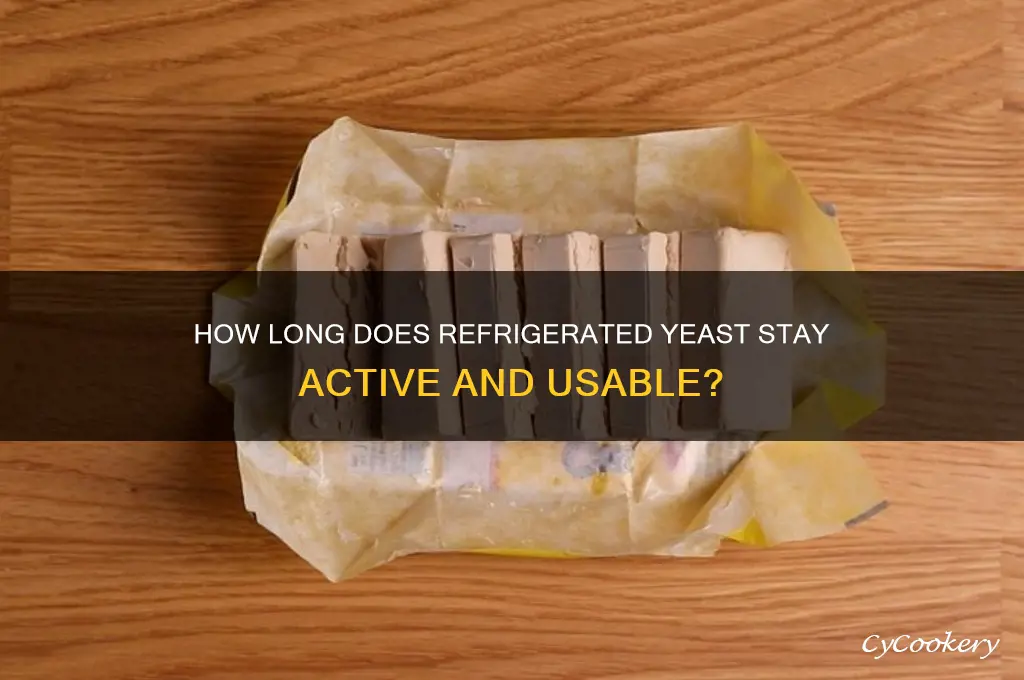 how long can yeast live in-refrigerated