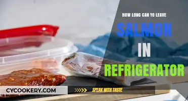 How Long Can You Safely Store Salmon in the Fridge?