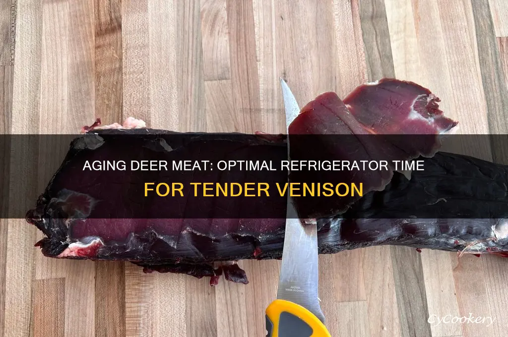 how long can you age deer meat in the refrigerator