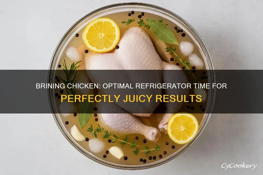 how long can you brine chicken in the refrigerator