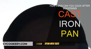 Cast Iron Cooking: How Long After Seasoning?