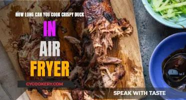 Mastering the Air Fryer: Perfect Crispy Duck in Minutes