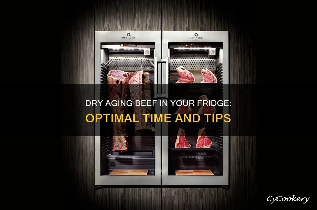 how long can you dry age beef in the refrigerator