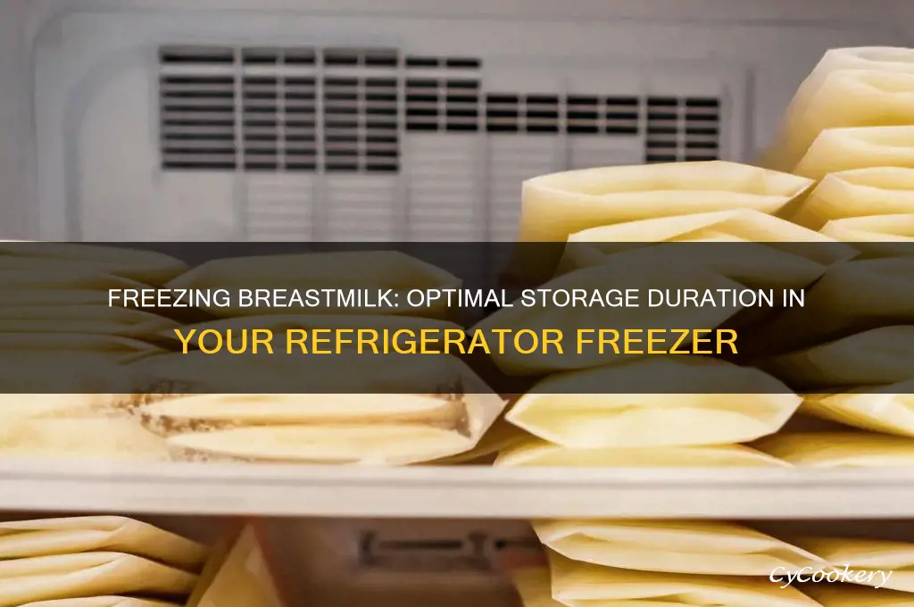 how long can you freeze breastmilk in refrigerator freezer