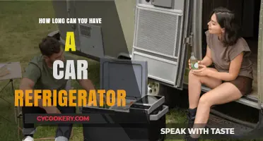 Car Refrigerator Lifespan: How Long Can You Keep It Running?