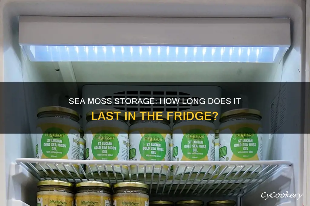 how long can you have sea moss in the refrigerator