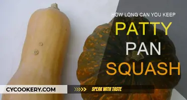 Storing Patty Pan Squash: How Long Does It Last?