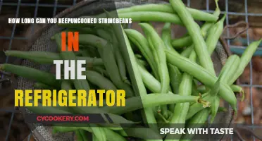 Storing Uncooked String Beans: Refrigerator Shelf Life Explained