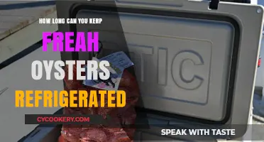 Fresh Oysters Refrigerated: Optimal Storage Time and Tips for Quality