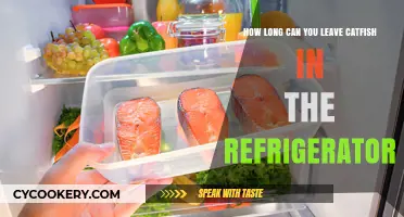 Refrigerated Catfish: Safe Storage Time and Tips to Keep It Fresh