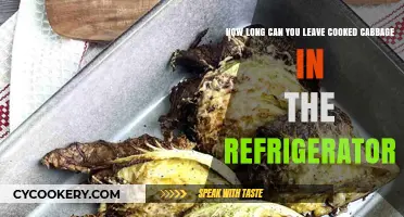 Storing Cooked Cabbage: Optimal Refrigerator Shelf Life Explained