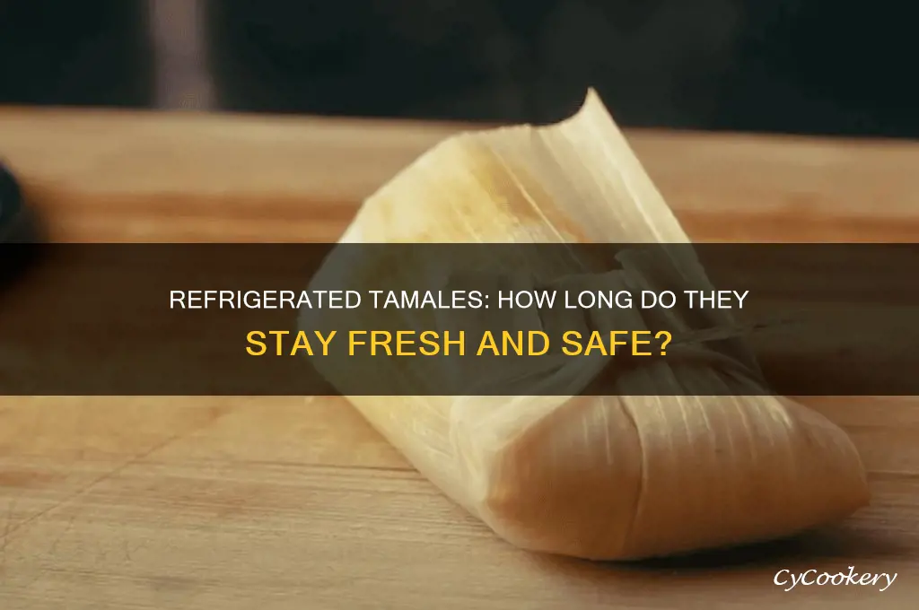 how long can you leave cooked tamales in the refrigerator