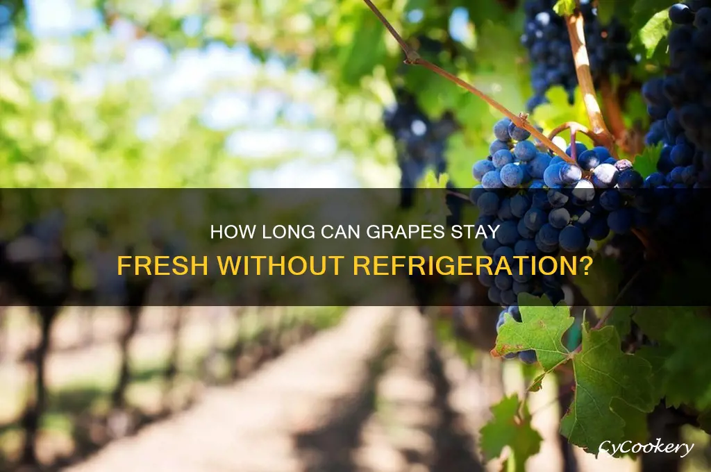 how long can you leave grapes out of the refrigerator