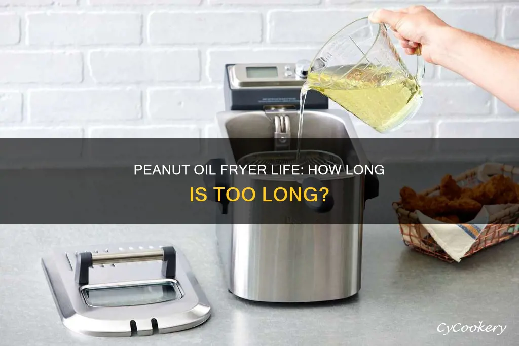 how long can you leave peanut oil in fryer