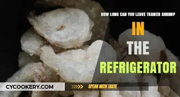 Thawed Shrimp Storage: How Long is Safe in the Fridge?
