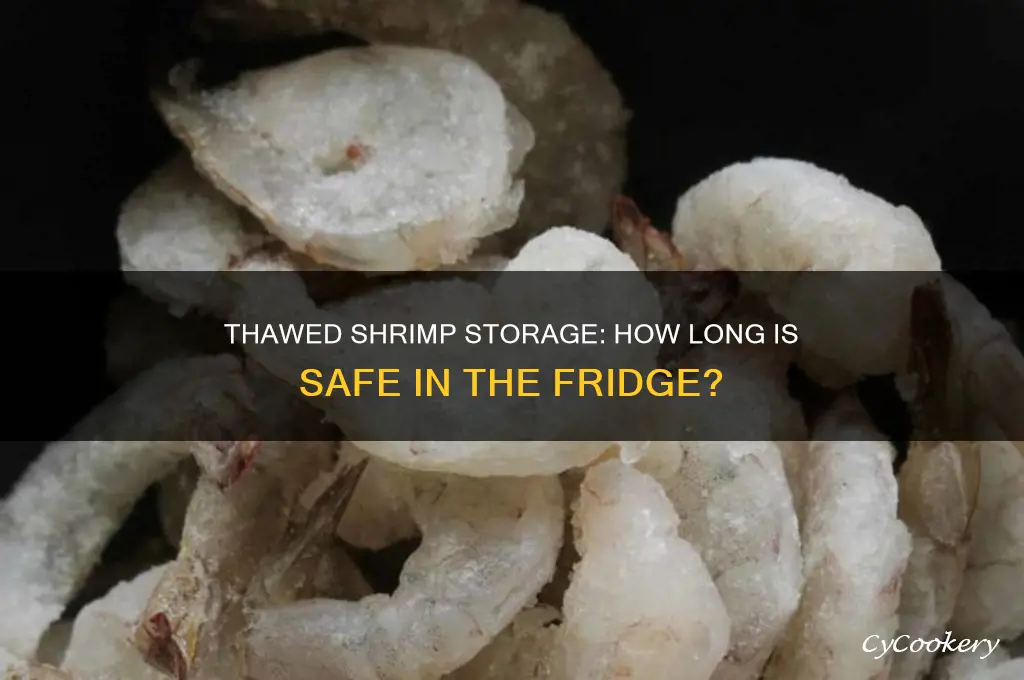 how long can you leave thawed shrimp in the refrigerator
