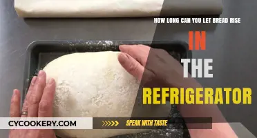 Chilling Dough: Optimal Refrigerator Rising Time for Perfect Bread