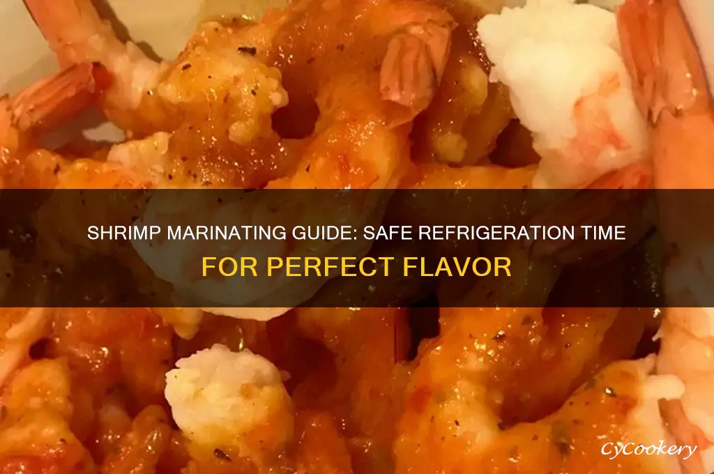 how long can you let shrimp marinate in the refrigerator