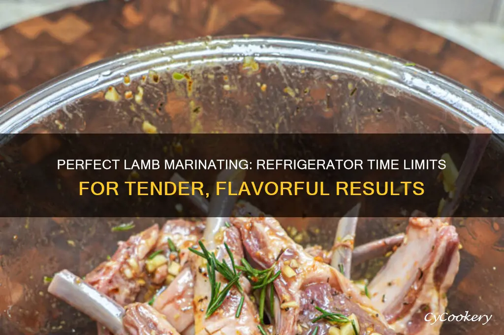 how long can you marinate lamb in the refrigerator
